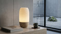 Terra Lamp